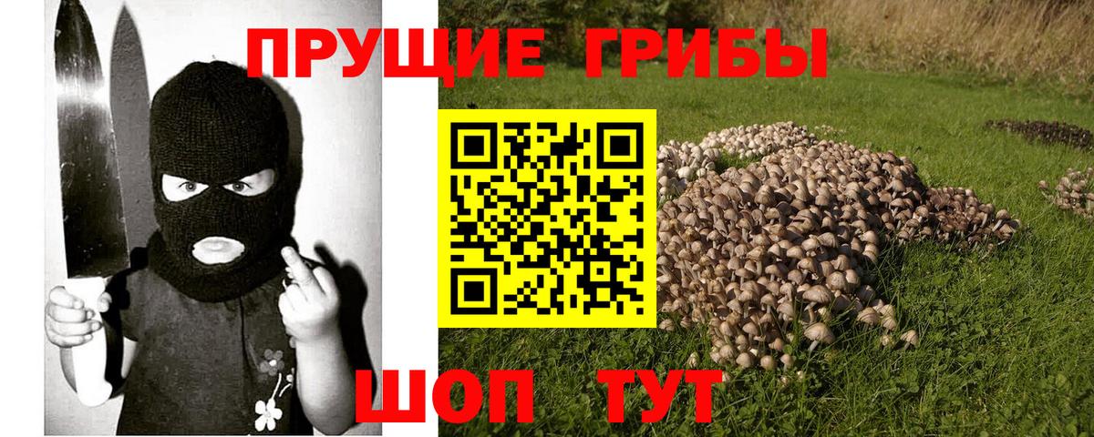 Азов  Псилоцибиновые грибы прущие грибы  Псилоцибиновые грибы MAGIC MUSHROOMS  Вход с VPN 